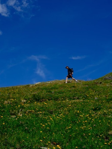 average swiss summer